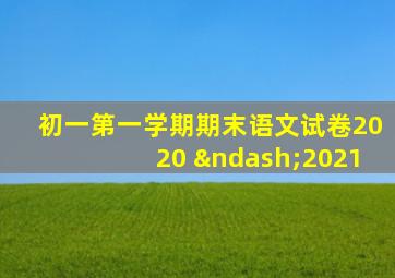 初一第一学期期末语文试卷2020 –2021